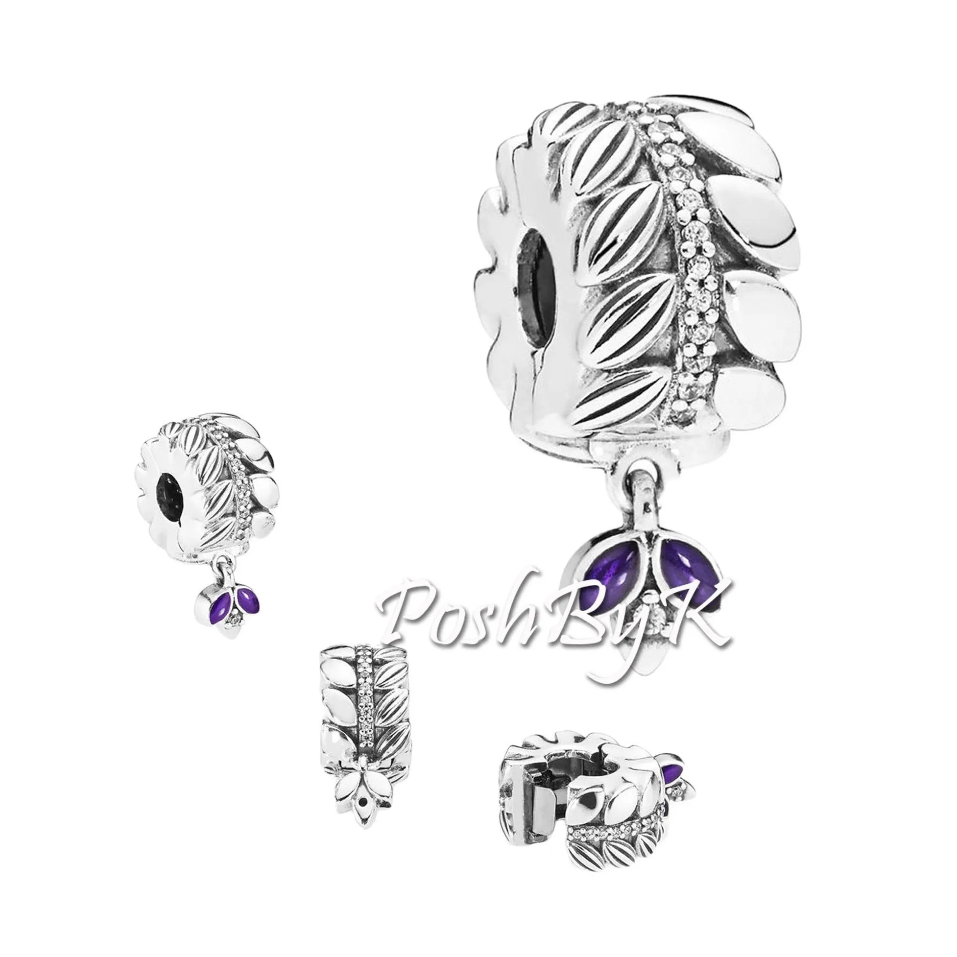 Grains of Energy Clip Charm 797591CZ