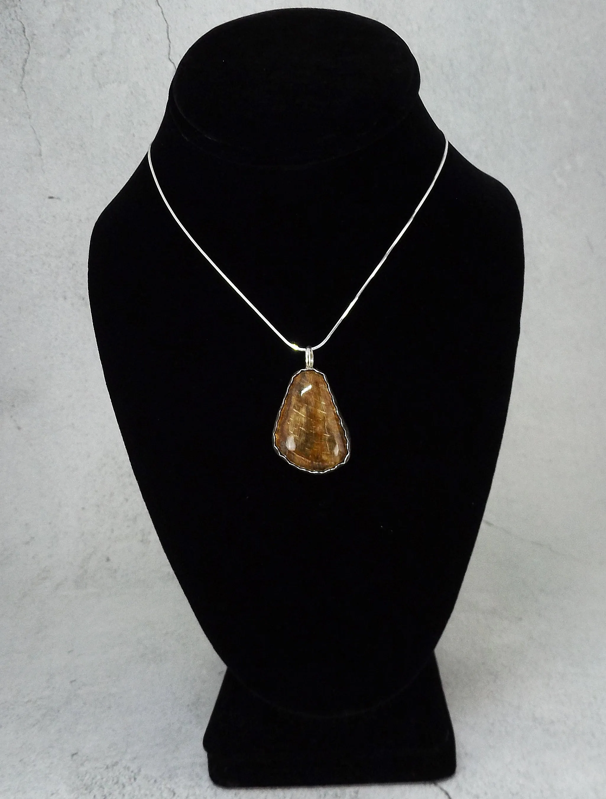 North Carolina Petrified Wood Necklace