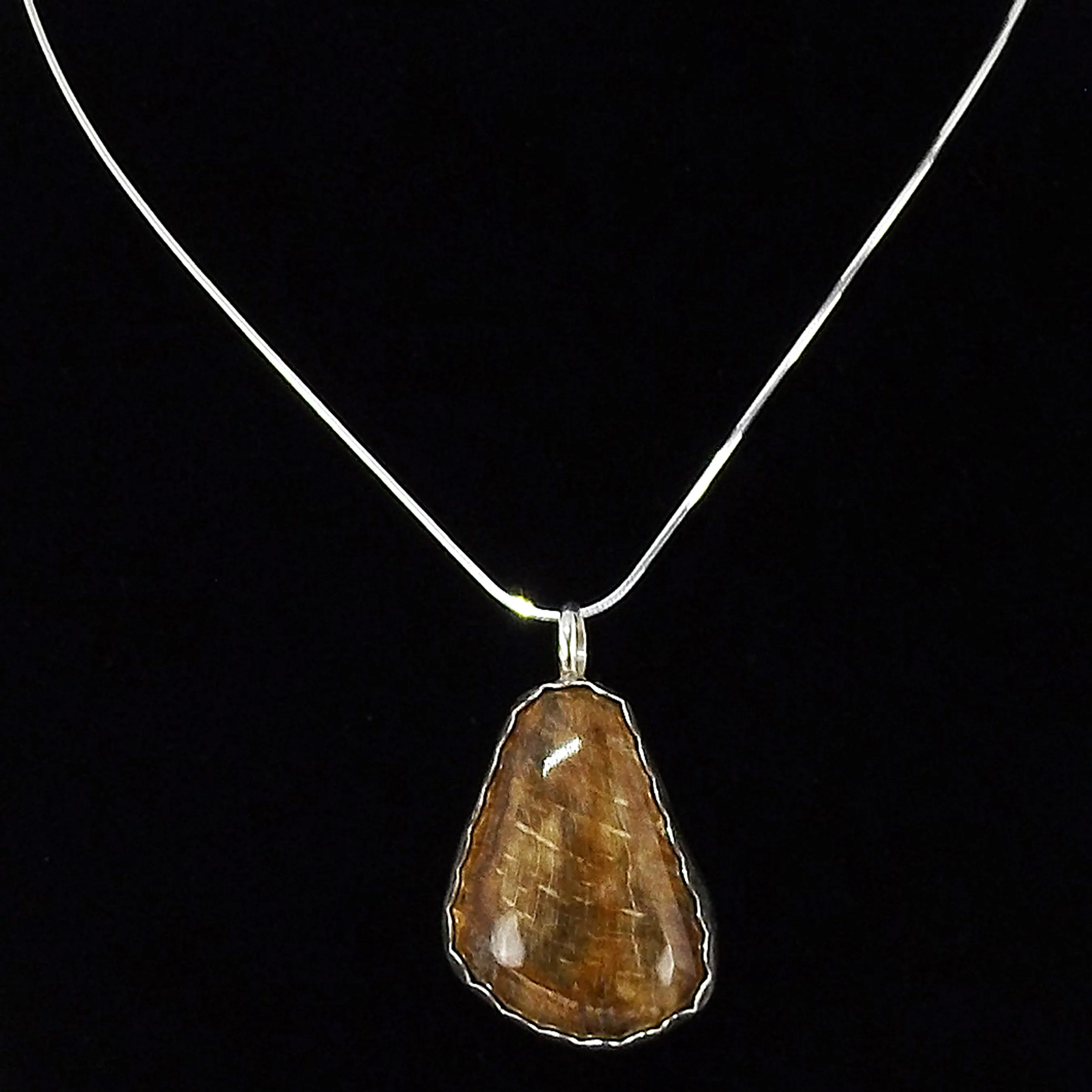 North Carolina Petrified Wood Necklace