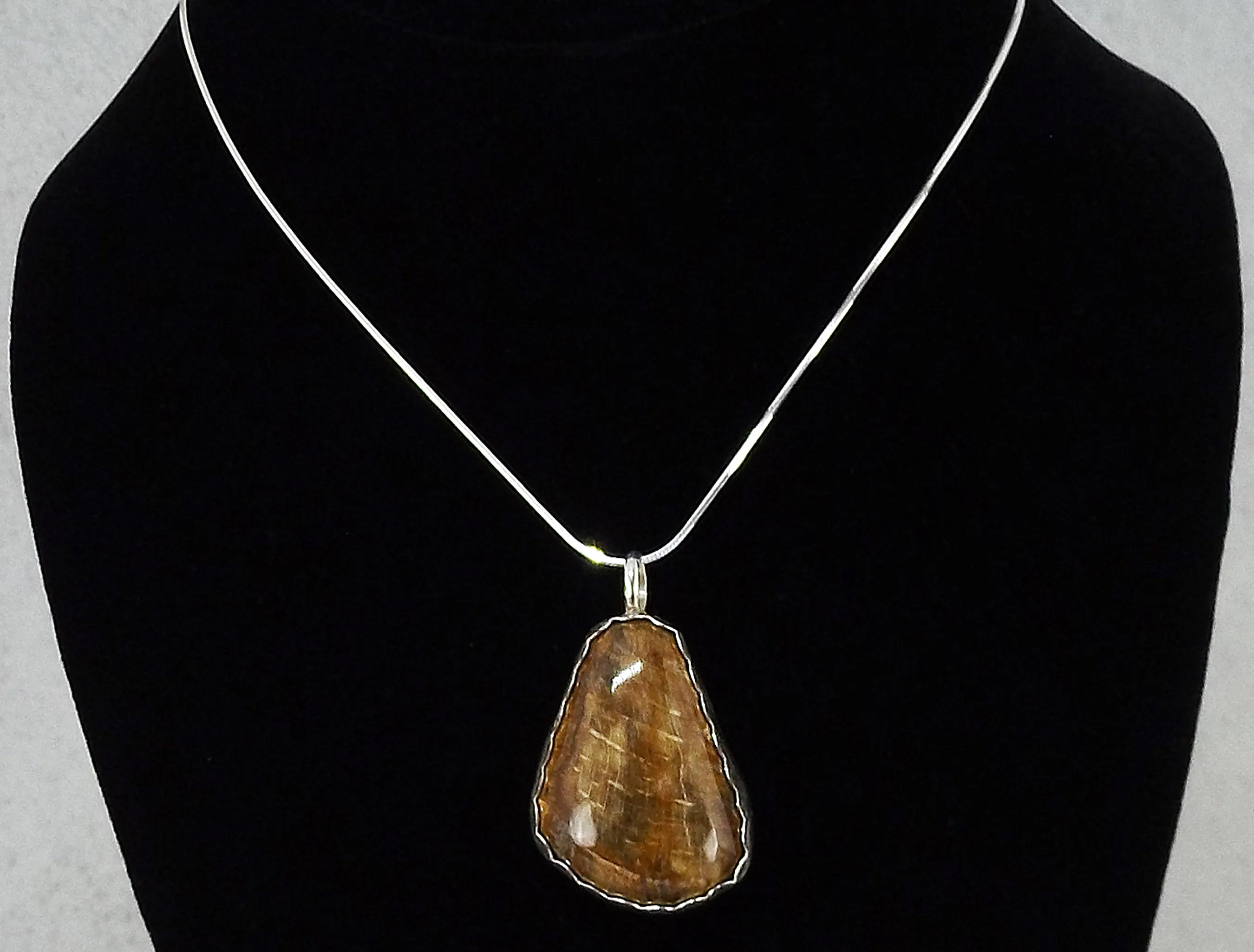 North Carolina Petrified Wood Necklace