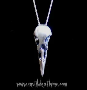 Raven Skull -UDINC0106